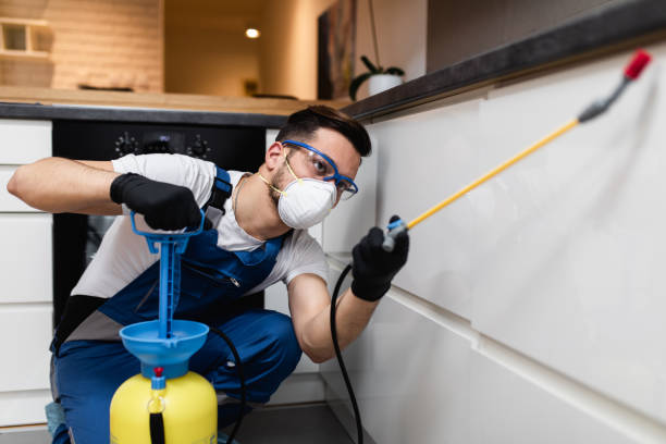 Best Pest Prevention Services  in Gurnee, IL