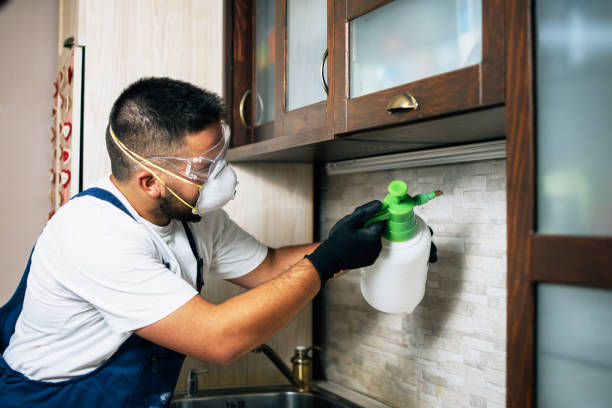 Best Bed Bug Extermination  in Gurnee, IL