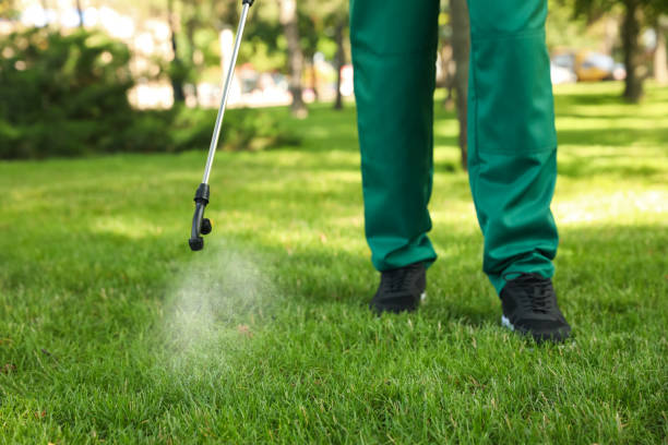 Best Best Pest Control Companies  in Gurnee, IL