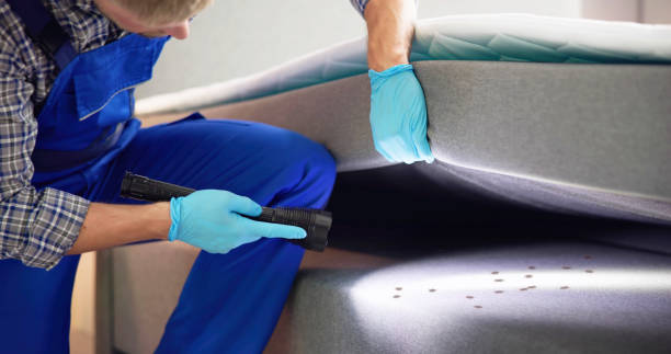 Best Pest Inspection Near Me  in Gurnee, IL