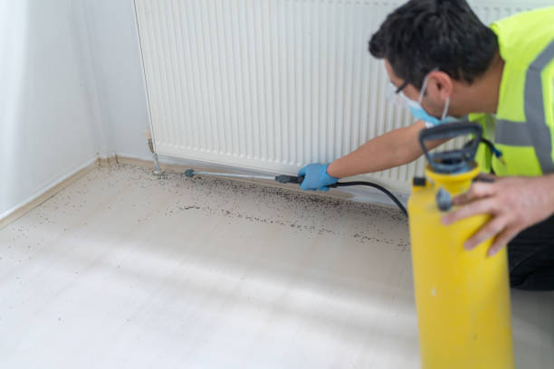 Best Local Pest Control Services  in Gurnee, IL